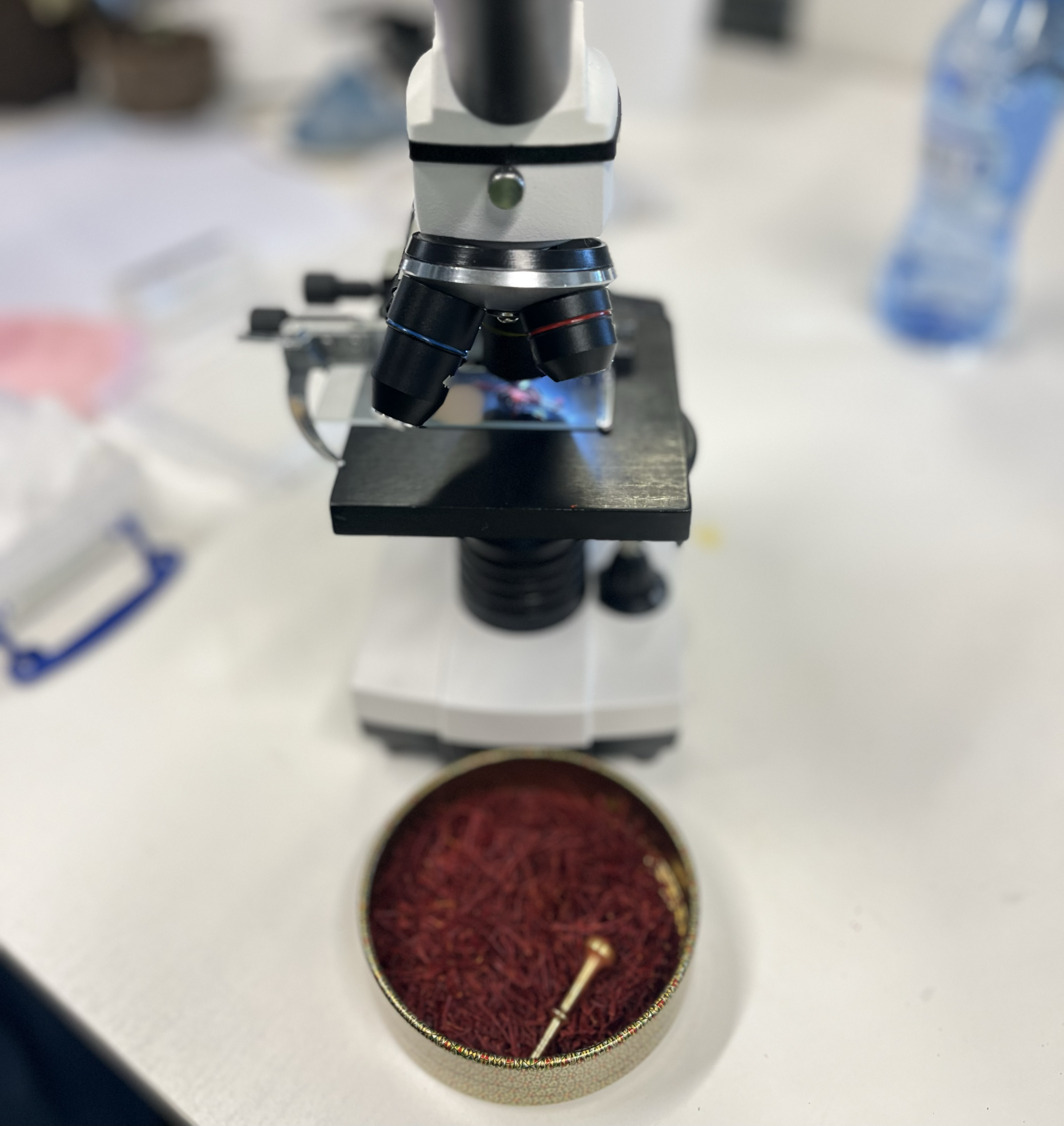 Business cards bundle